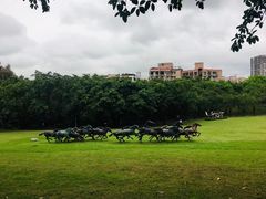 -广州雕塑公园
