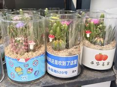 -溪岸路花鸟市场