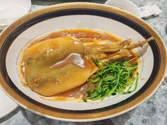 -鲐赏河豚(长寿店)