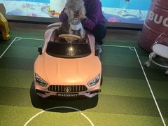 -百好乐宠物友好餐厅(朝外大街店)