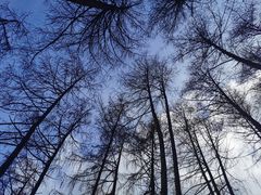-硗碛藏寨·神木垒景区