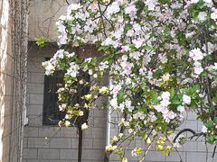-山东师范大学(千佛山校区)