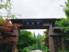 -习家池