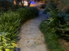 -青城道汤池