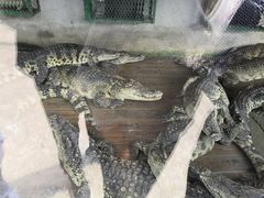 -无锡动物园·太湖欢乐园
