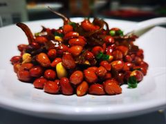 -鸭王烤鸭店(三里河店)