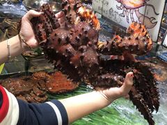 -79号渔船海鲜饭店(华强北店)