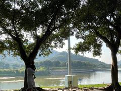 -风云岭森林公园