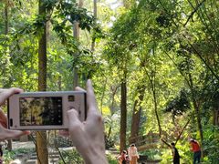 -火炉山森林公园