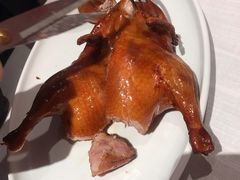 -东富酒家(龙湖西溪天街店)