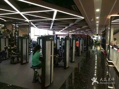 -金吉鸟健身游泳