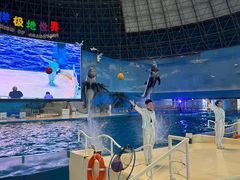 -泉城欧乐堡海洋极地世界