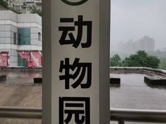 -朱毅育龙游泳俱乐部