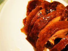 -金彤川菜(西稍门店)