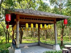 -同里国家湿地公园