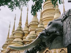 -西双版纳勐泐文化旅游区