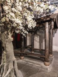 -城市花园婚纱摄影