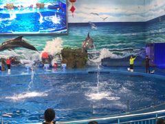 -多彩贵州城极地海洋世界