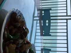 -七鲜渔港美食餐厅(巽寮湾海景店)