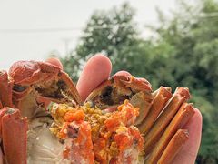 -欢乐蟹庄·精品农家乐(阳澄湖莲花岛店)