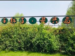 -前小桔亲子创意农场·草莓采摘·露营烧烤