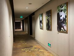 -成都保利公园皇冠假日酒店(熊猫基地店)