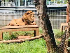 -昆明动物园