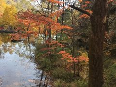 -丹东天桥沟景区