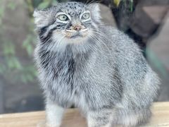 -青藏高原野生动物园