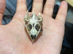 -千纸鹤嫩汁烤肉(西大直街店)