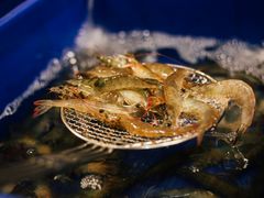 -漳州瑰丽半岛酒店·原素全日制餐厅