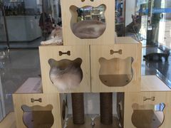 -瞄一喵猫咖(格力海岸店)
