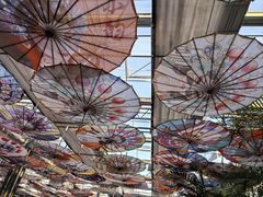 -南和农业嘉年华