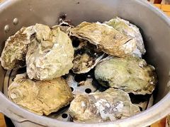 -土蚝·高压锅生蚝(百姓美食街店)