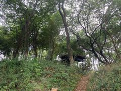 -八大山人梅湖景区