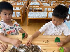 -北京市丰台区阳光起点锦城幼儿园(丰台园)