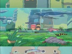 -石排湾郊野公园