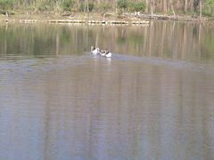 2014-10-26_10-17-46_126-合肥滨湖国家森林公园