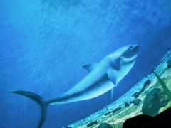 -苏州青少年科技馆