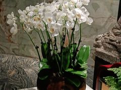 -南堂館川菜文化餐厅(天府店)