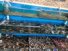 -港畔赶海蒸汽海鲜烧烤自助(仙螺岛店)