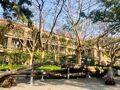 -厦门大学(思明校区)