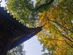 -汇龙潭