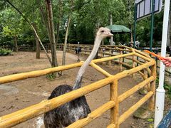 -大连森林动物园