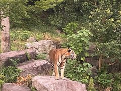 -宁波野生动物园