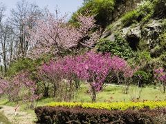 -秦岭终南山世界地质公园翠华山景区
