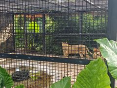 -海南热带野生动植物园