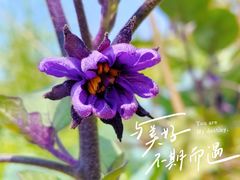 -神光山国家森林公园