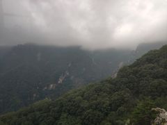 -牛背梁国家森林公园
