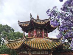 -翠湖公园